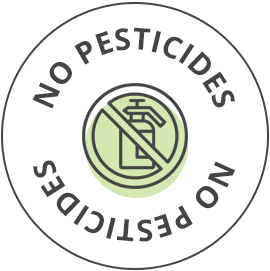 NO PESTICIDES